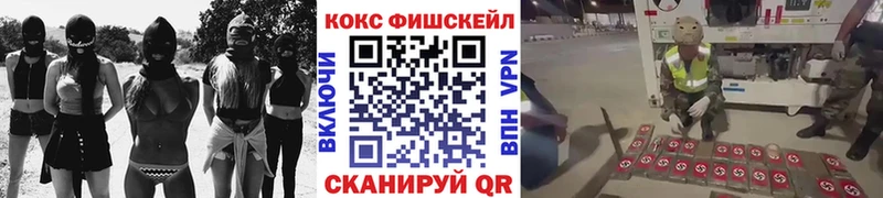 КОКАИН Fish Scale  Купить закладки  Отрадный 