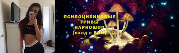 PSILOCYBIN Балахна